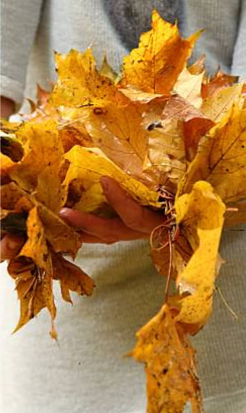 Концепция квартала