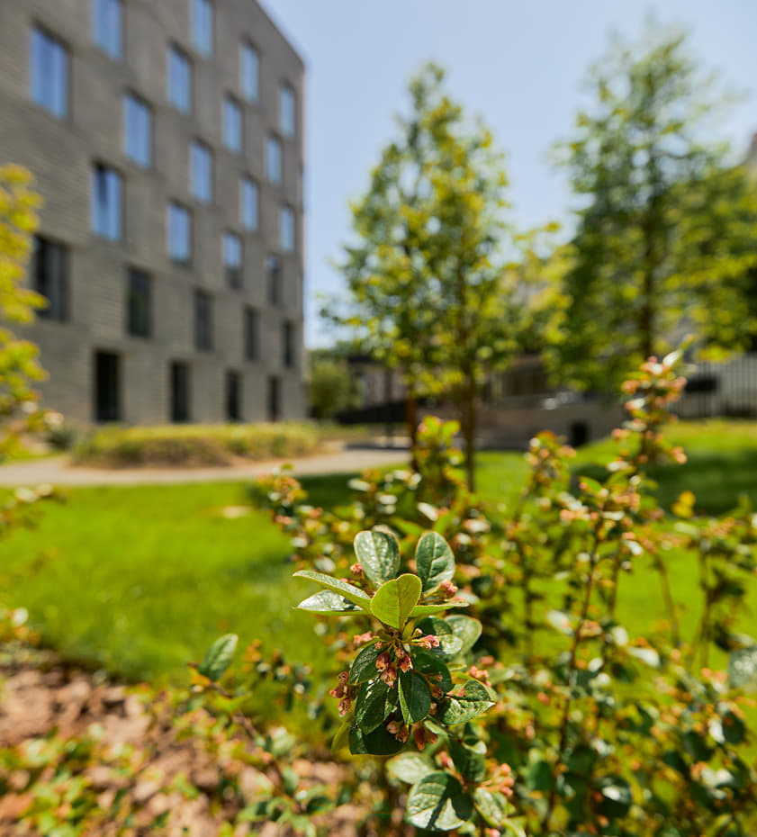 Мы создаем гармоничное пространство, где природа и урбанистика дополняют друг друга. Уборка территории, вывоз мусора и снега, очистка дорожек и сезонный уход за двором-парком — все это часть нашей работы. Каждая деталь продумана для вашего комфорта: от малых архитектурных форм до игровых площадок и дренажных систем. Мы поддерживаем красоту и порядок, чтобы вы могли наслаждаться каждым моментом на открытом воздухе.